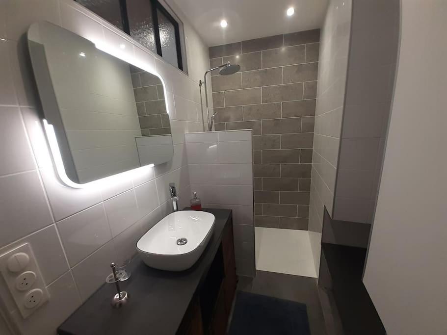 Classe 4 Etoiles - Cybele - Centre Ville 2 Chambres, Cour Privative Et Garage Vienne  Exterior foto