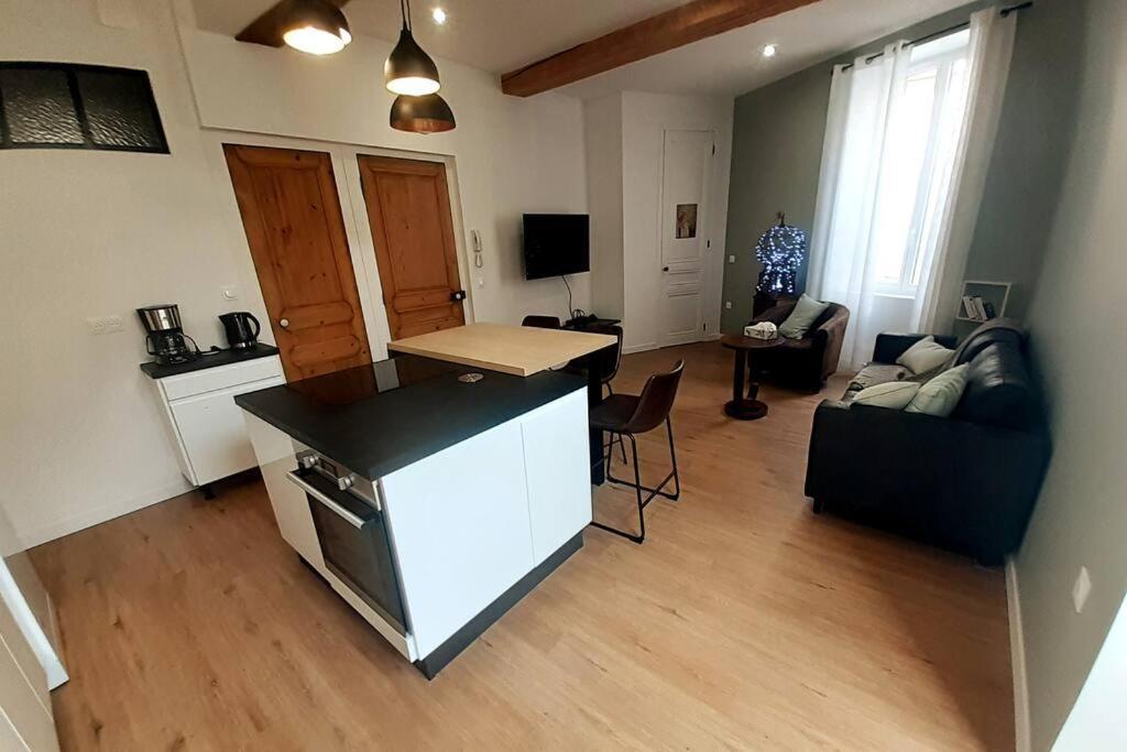 Classe 4 Etoiles - Cybele - Centre Ville 2 Chambres, Cour Privative Et Garage Vienne  Exterior foto